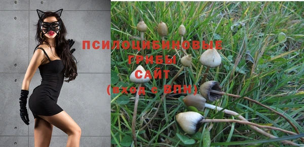 соль курить ск Медногорск