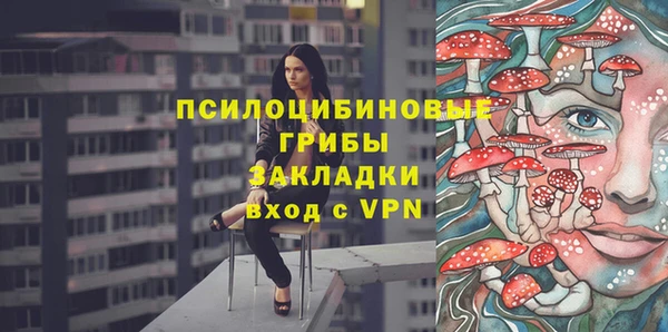 PSILOCYBIN Алексеевка