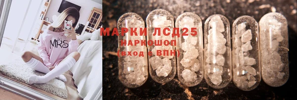 PSILOCYBIN Алексеевка